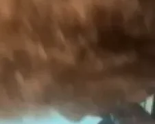 i be trying to swallow that dick😂😅