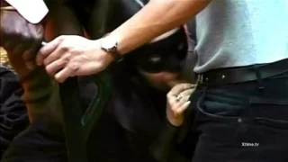 Lynn Stone angel or demon