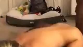 She’s loving that bbc so much